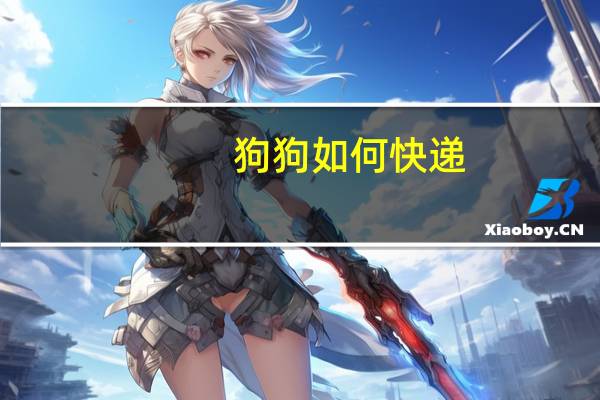 狗狗如何快递