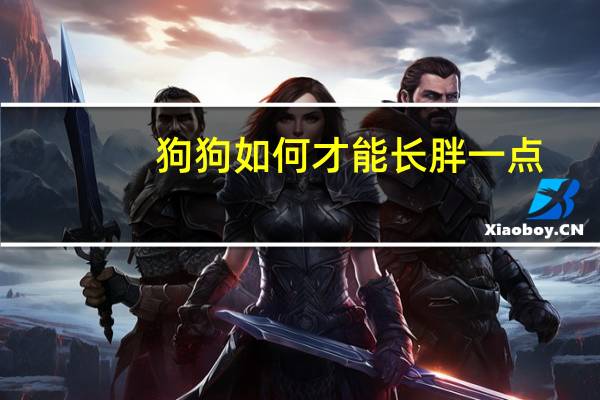 狗狗如何才能长胖一点