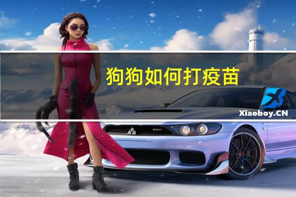 狗狗如何打疫苗