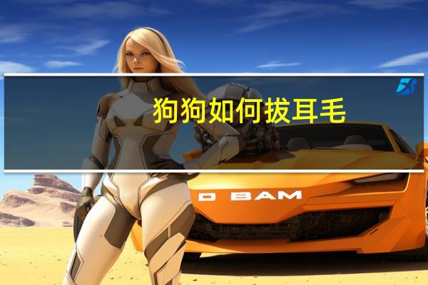狗狗如何拔耳毛