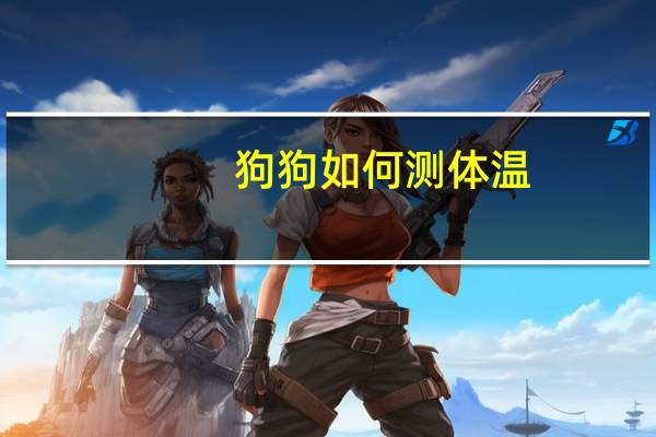 狗狗如何测体温