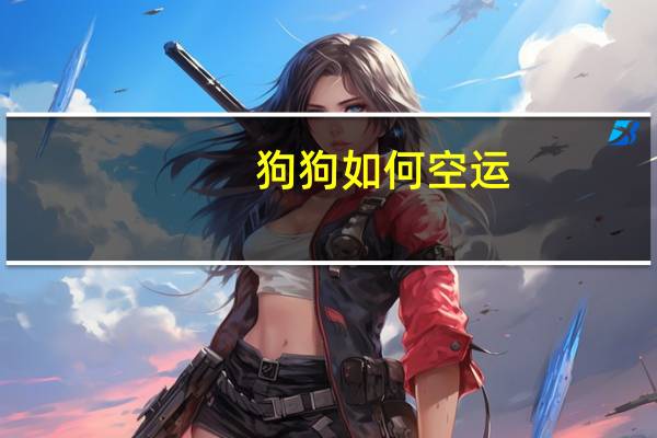 狗狗如何空运