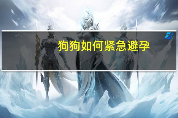 狗狗如何紧急避孕