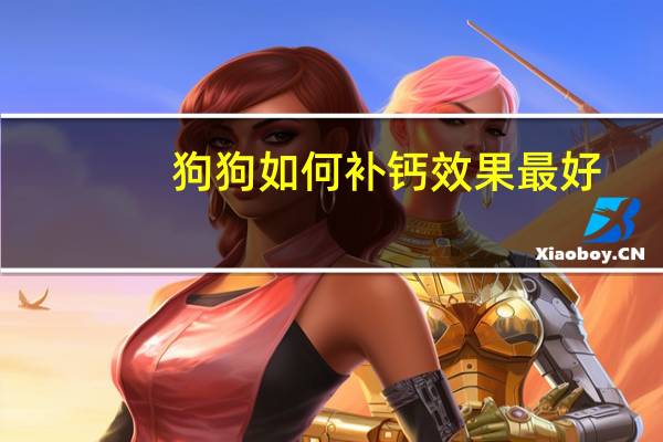 狗狗如何补钙效果最好
