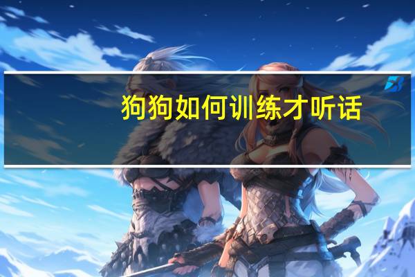 狗狗如何训练才听话