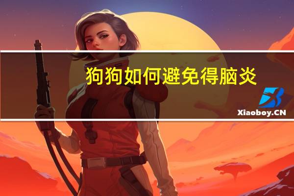 狗狗如何避免得脑炎