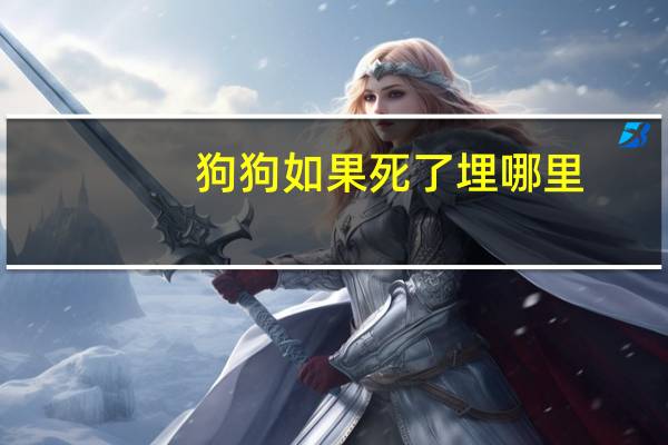 狗狗如果死了埋哪里