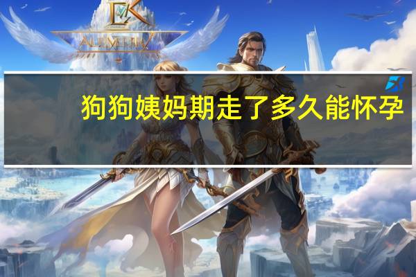 狗狗姨妈期走了多久能怀孕