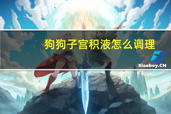 狗狗子宫积液怎么调理