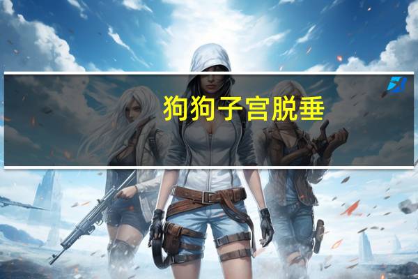 狗狗子宫脱垂