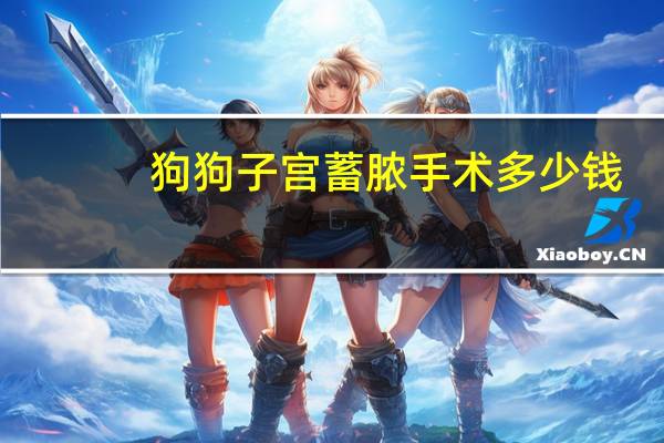 狗狗子宫蓄脓手术多少钱