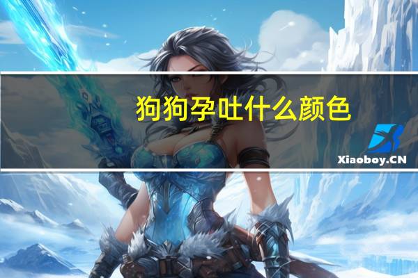 狗狗孕吐什么颜色