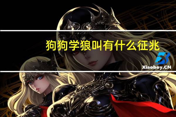 狗狗学狼叫有什么征兆
