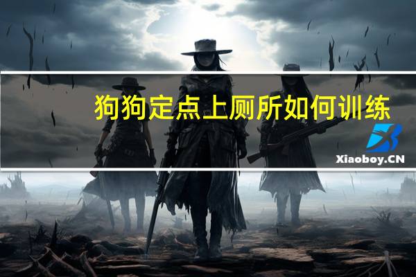 狗狗定点上厕所如何训练