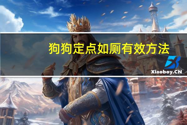 狗狗定点如厕有效方法
