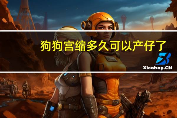 狗狗宫缩多久可以产仔了