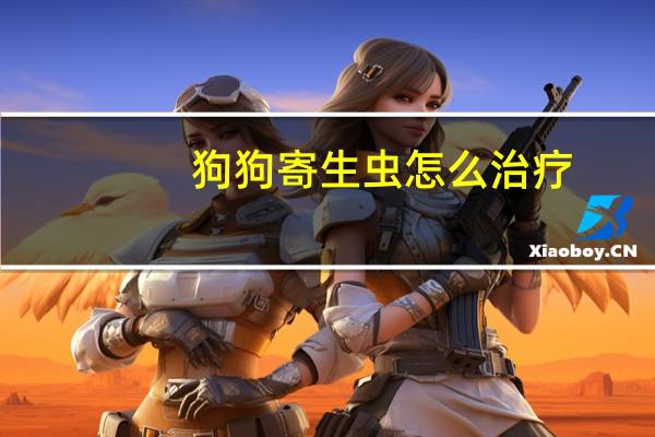 狗狗寄生虫怎么治疗