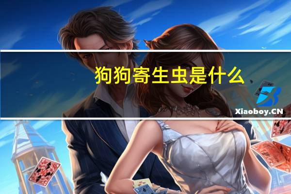 狗狗寄生虫是什么