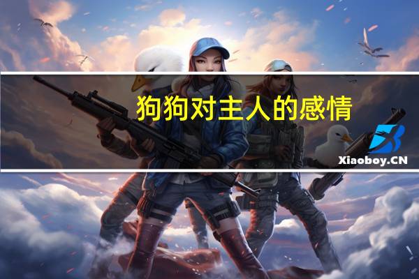 狗狗对主人的感情