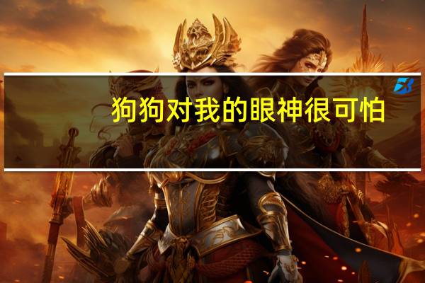 狗狗对我的眼神很可怕