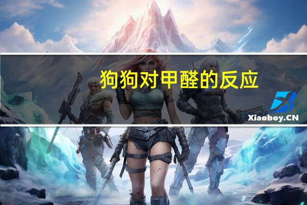 狗狗对甲醛的反应