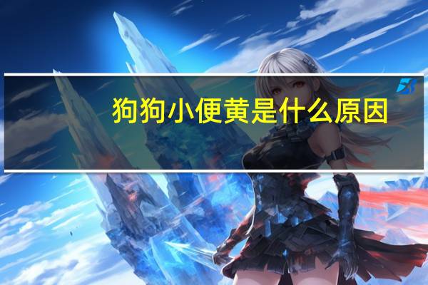 狗狗小便黄是什么原因