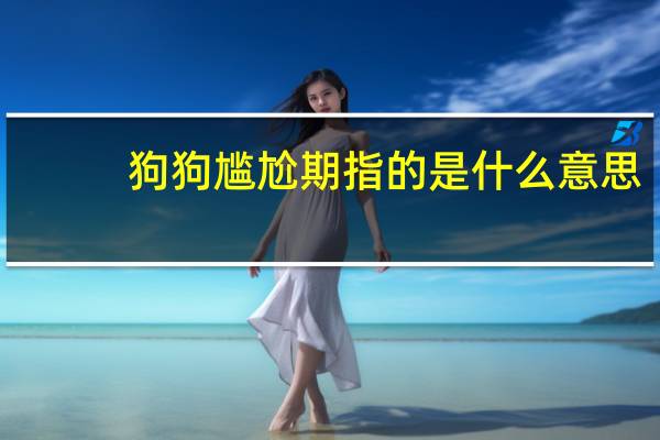 狗狗尴尬期指的是什么意思
