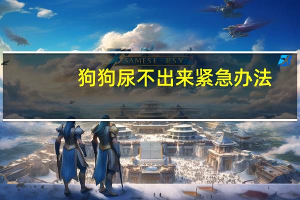 狗狗尿不出来紧急办法