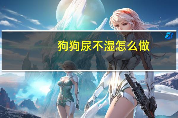 狗狗尿不湿怎么做