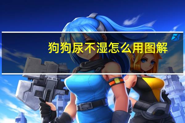 狗狗尿不湿怎么用图解