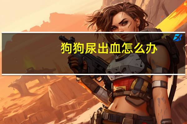 狗狗尿出血怎么办
