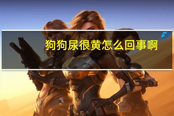 狗狗尿很黄怎么回事啊