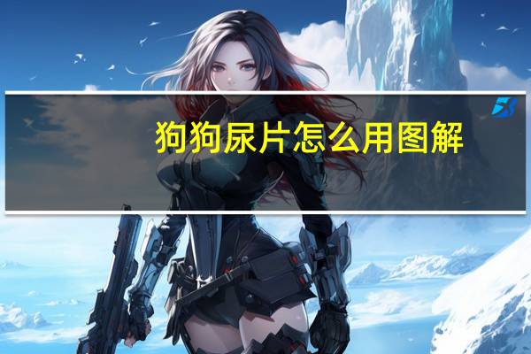 狗狗尿片怎么用图解