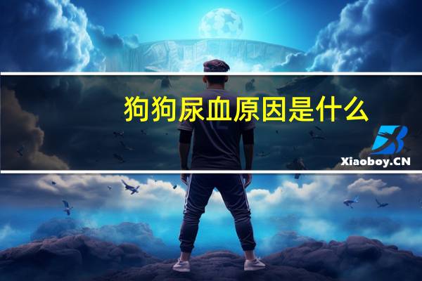 狗狗尿血原因是什么