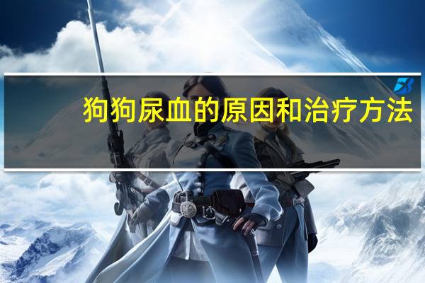 狗狗尿血的原因和治疗方法