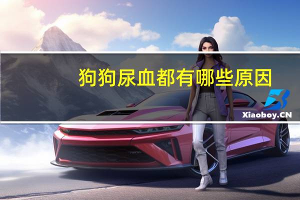 狗狗尿血都有哪些原因