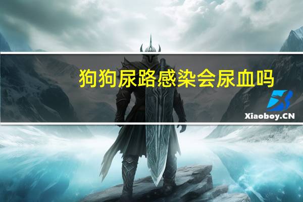 狗狗尿路感染会尿血吗