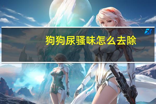 狗狗尿骚味怎么去除