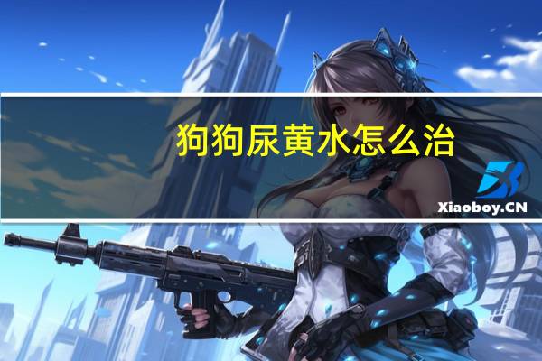 狗狗尿黄水怎么治