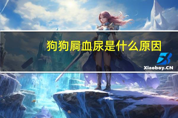 狗狗屙血尿是什么原因