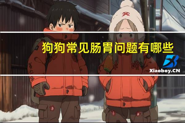 狗狗常见肠胃问题有哪些