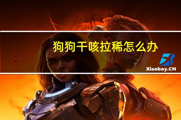 狗狗干咳拉稀怎么办