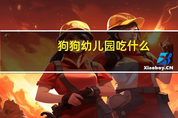 狗狗幼儿园吃什么