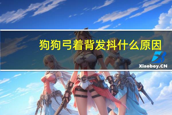 狗狗弓着背发抖什么原因