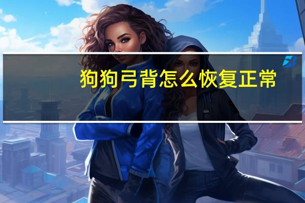 狗狗弓背怎么恢复正常