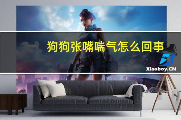 狗狗张嘴喘气怎么回事