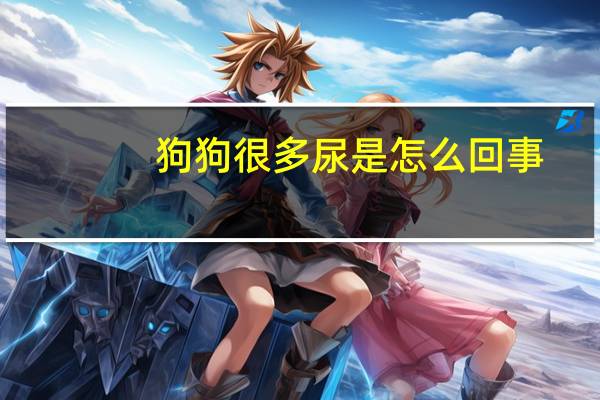 狗狗很多尿是怎么回事