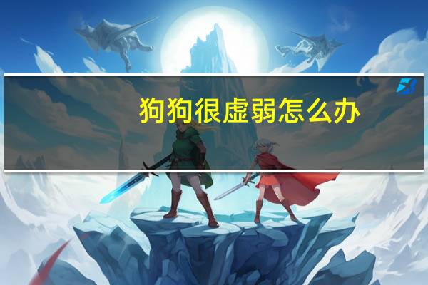 狗狗很虚弱怎么办