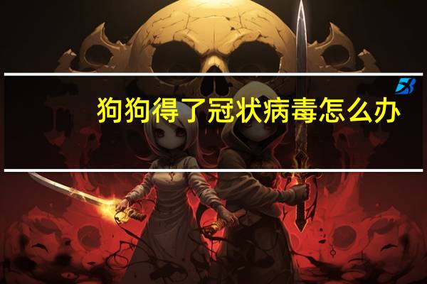 狗狗得了冠状病毒怎么办