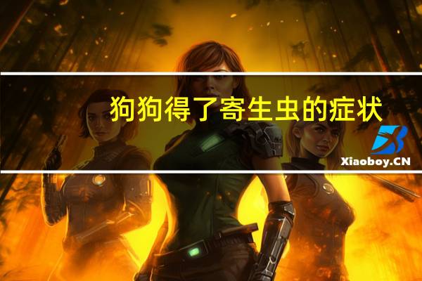 狗狗得了寄生虫的症状